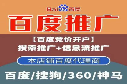 网络推广中的竞价广告：成功案例解析